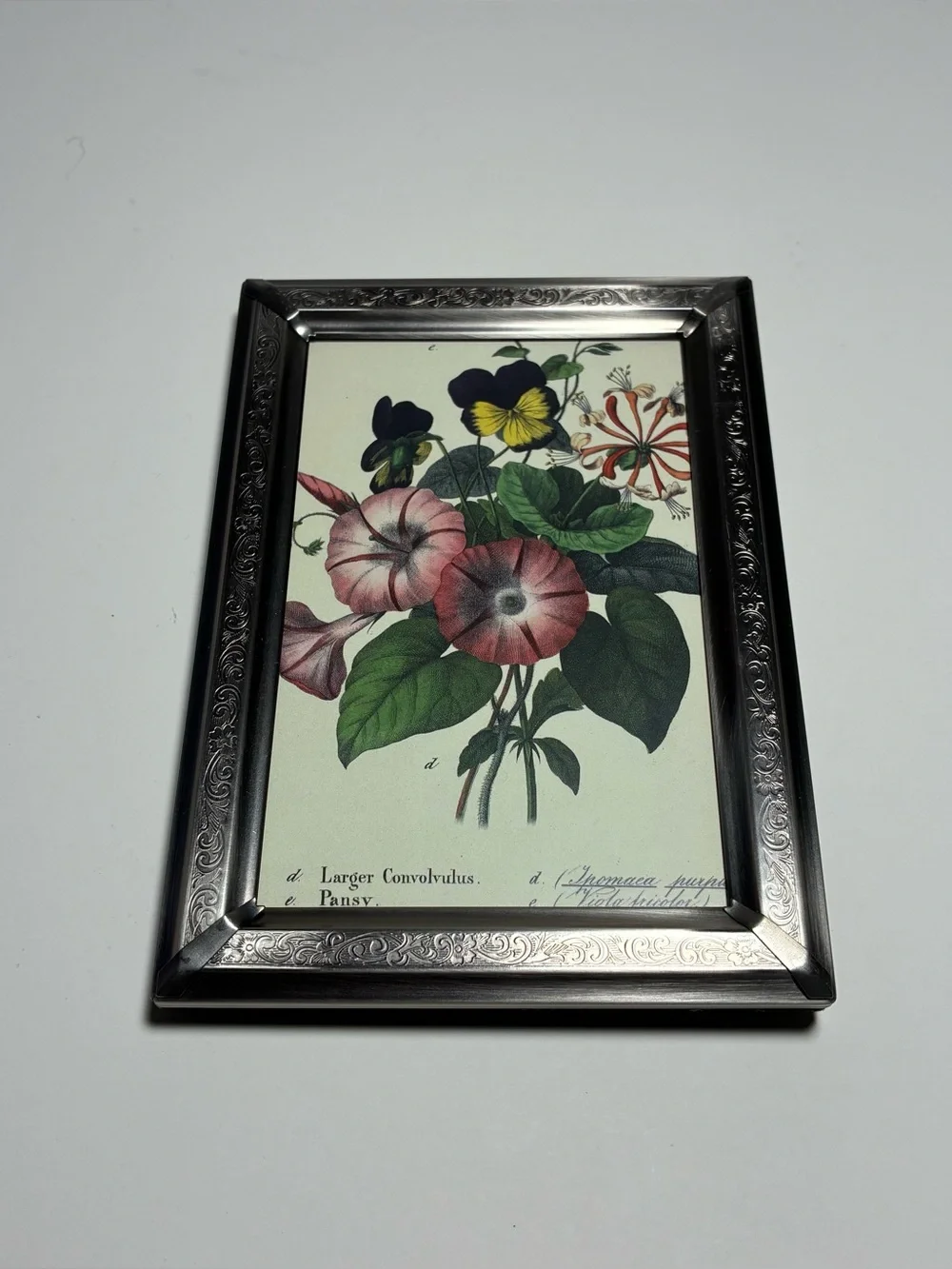 Vintage Silver Aluminum Etched Frame Botanical Floral Print Freestanding 7x5